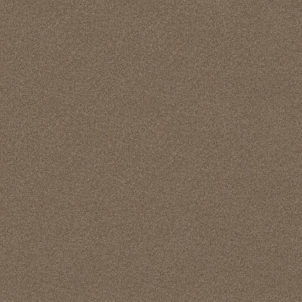 Shaw Luxuriant Carpet in Dinosaur, , large