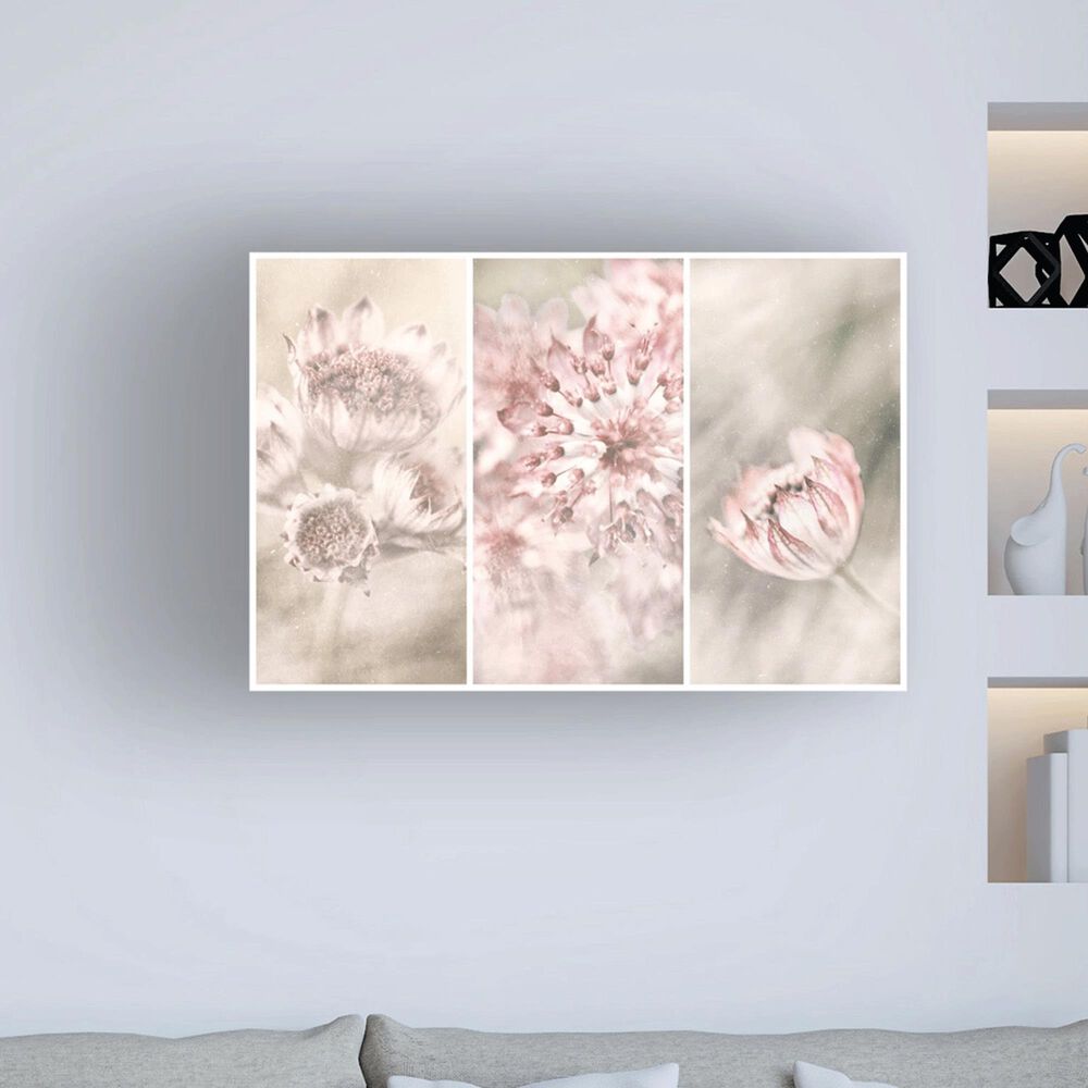 Timberlake Gustav Davidsson "Pink Floral Panels" 30" x 47" Canvas Art, , large