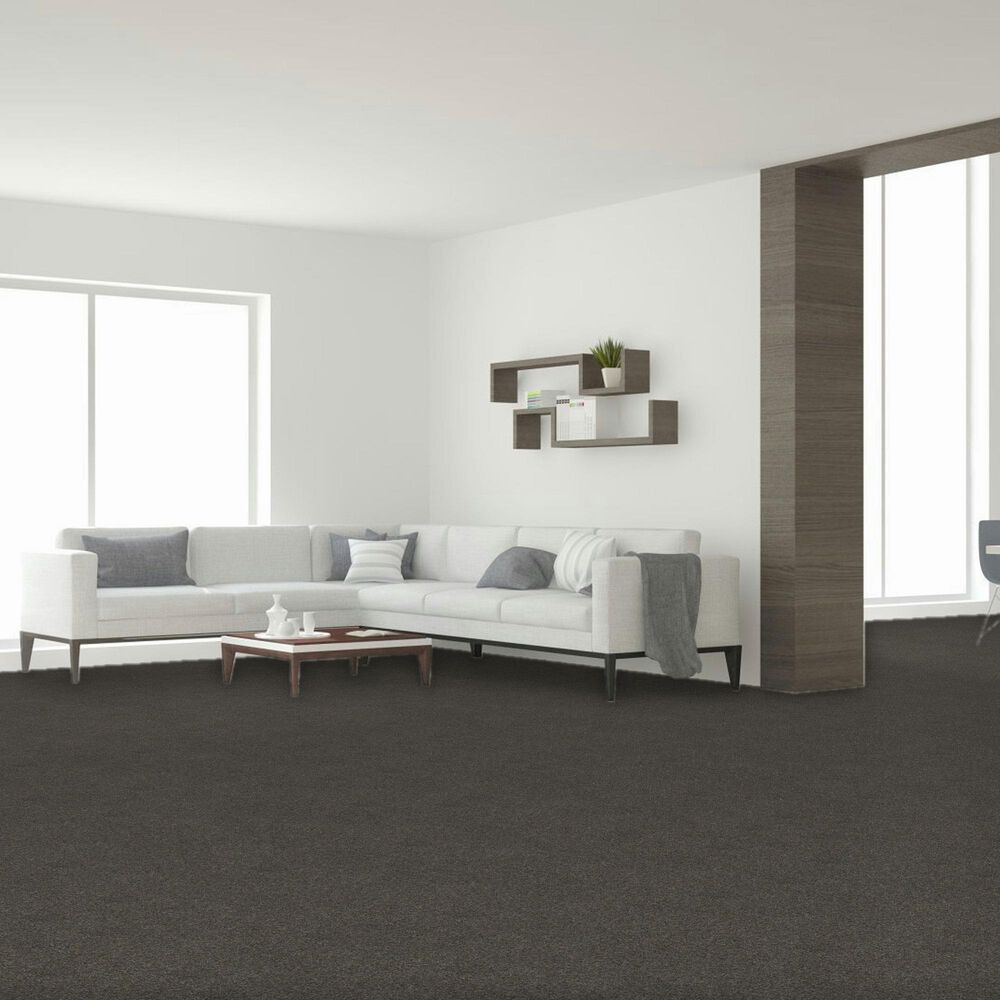 Dream Weaver Serene I Carpet in Electric, , large