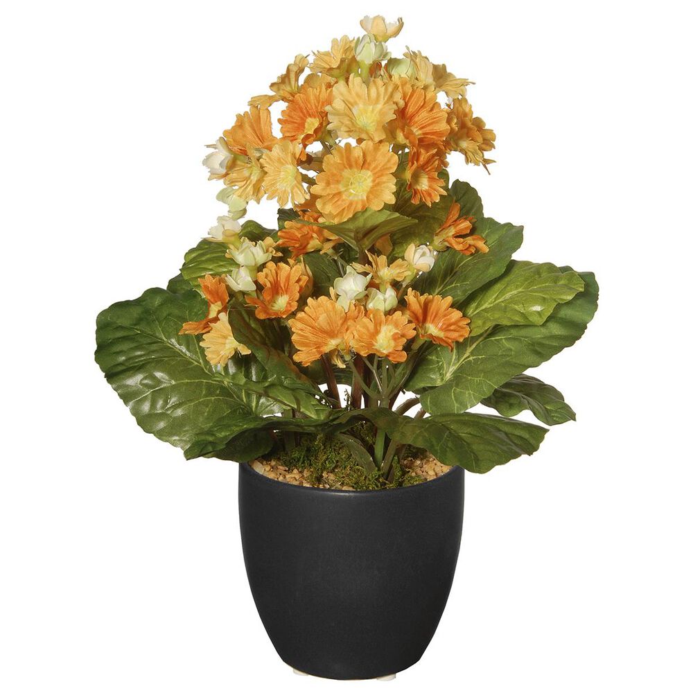 National Tree 12" Primula with in Ceramic Pot, , large