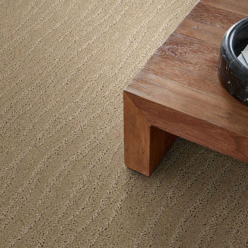 Anderson Tuftex Pose Carpet in Oak Ridge, , large
