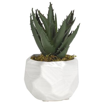 DandW Silks Min Aloe Plant Ceramic Planters in White, , large