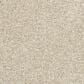 Mohawk Furry Friends II Carpet in London Fog, , large