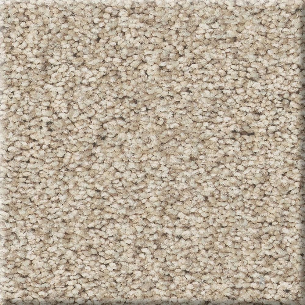 Shaw Comforting II Carpet in Mesa, , large