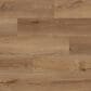 Paramount Regency PB Pelham Pass 9" x 60" Luxury Vinyl Plank, , large