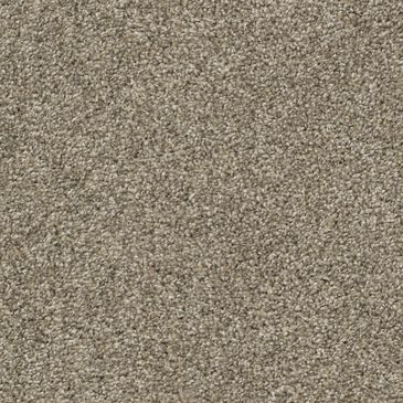 Dixie Home Outlast Carpet in Quarry, , large