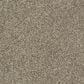 Dixie Home Outlast Carpet in Quarry, , large