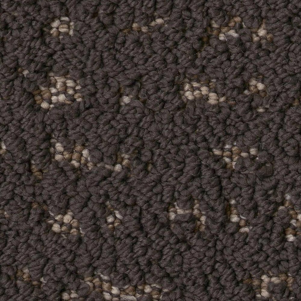 Anderson Tuftex Tangent Carpet in Dark Roast, , large