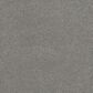 Dream Weaver Monte Carlo III Carpet in Winterscape, , large