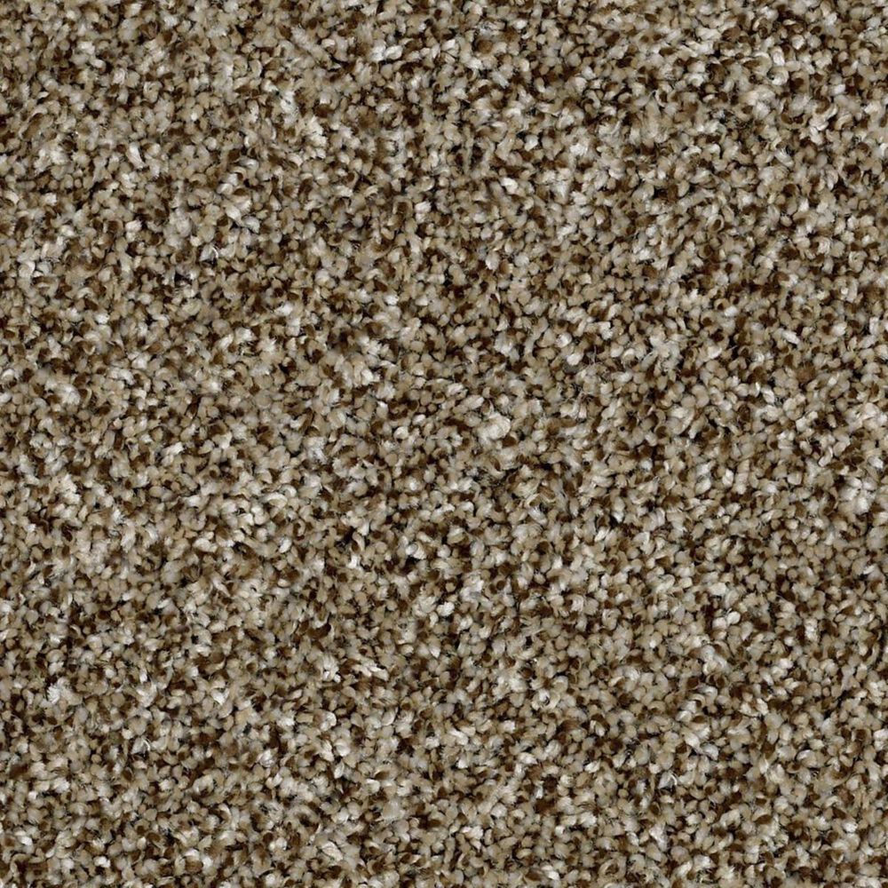 Shaw Work The Color Net Carpet in Honey Bear, , large