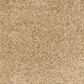 Mohawk Paw Pathway Carpet in Midsummer Light, , large