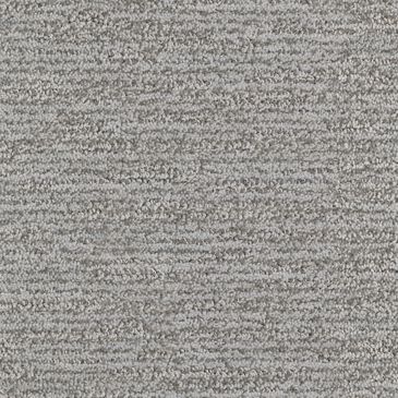 Dixie Home Quietly Carpet in Composed, , large