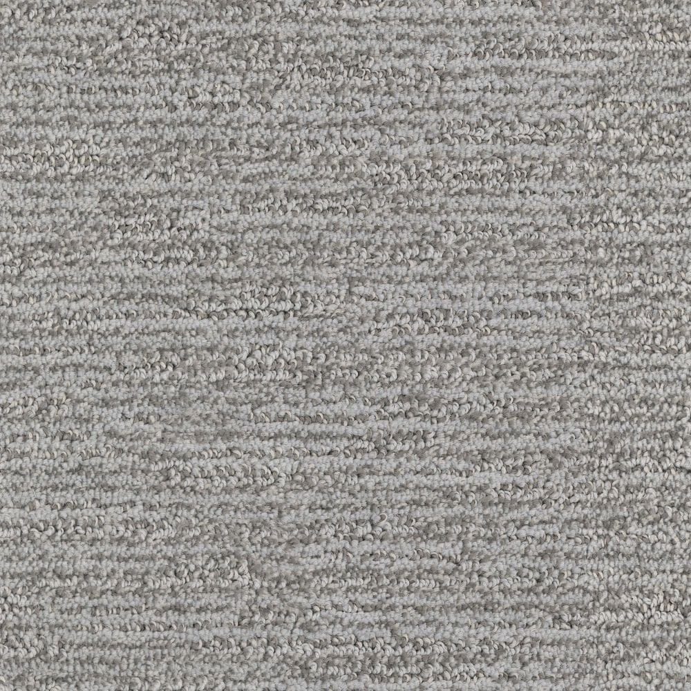 Dixie Home Quietly Carpet in Composed, , large