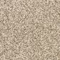 Dixie Home Escalante Carpet in Pebble, , large