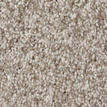 Anderson Tuftex Terra Nova Carpet in Misty Dawn, , large