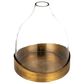 Creative Coop Sophisticated Glass Cloche with Metal Tray in Clear and Antique Brass, , large