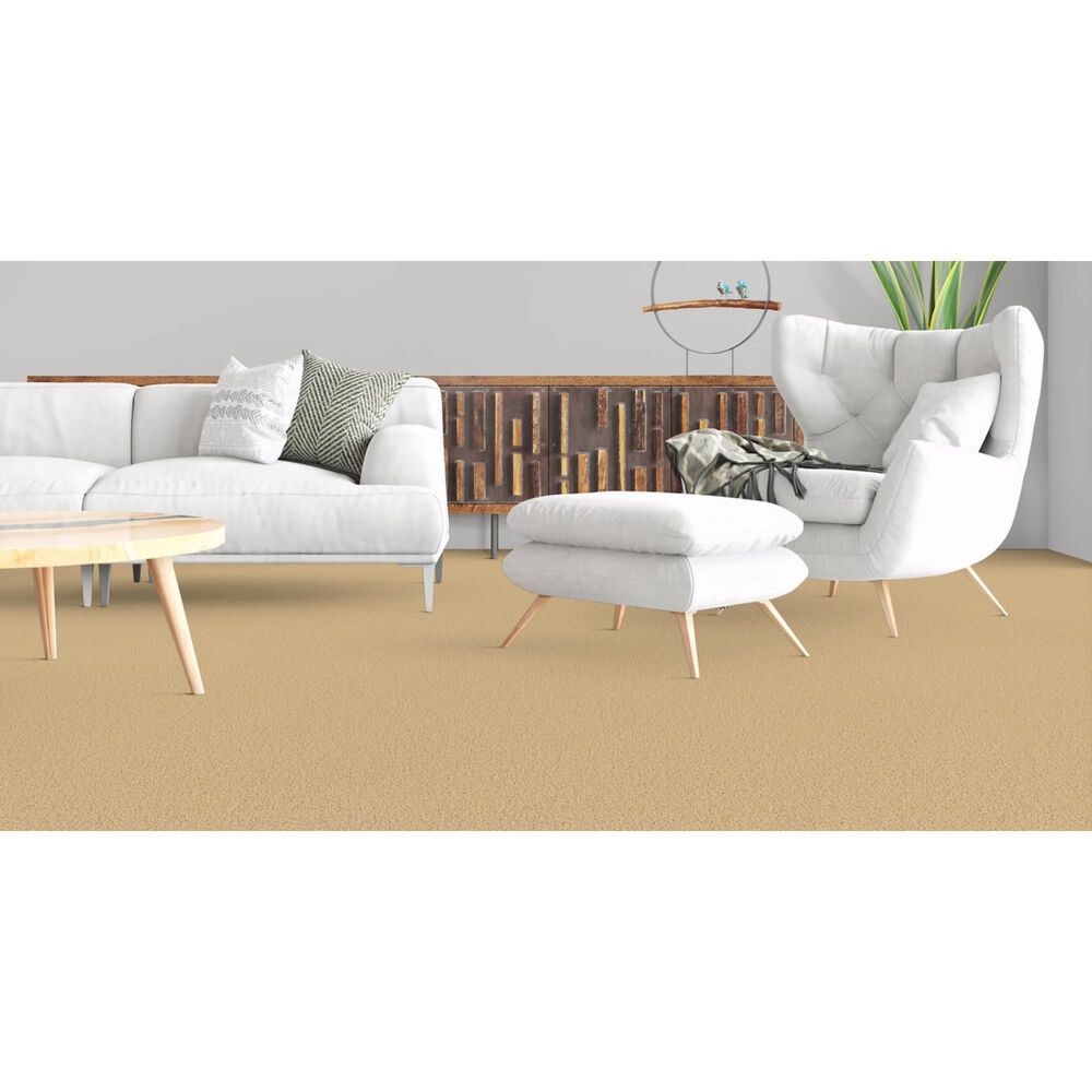 Masland Miami Carpet in Ambiance, , large