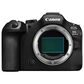 Canon EOS R6 Mark III Mirrorless Digital Camera Body Only in Black, , large