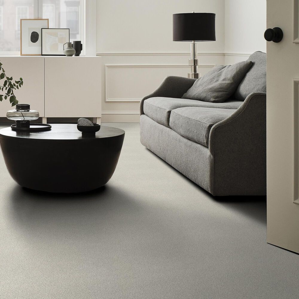 Shaw Tonal Comfort I Carpet in Need A Hug, , large