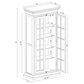 Pacific Landing Tammi 2-Door Tall Cabinet in Antique White and Brown, , large