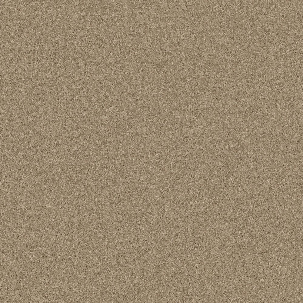 Shaw Las Cruces Carpet in Hickory, , large