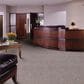Shaw Franchise Carpet in Tiger Lily, , large