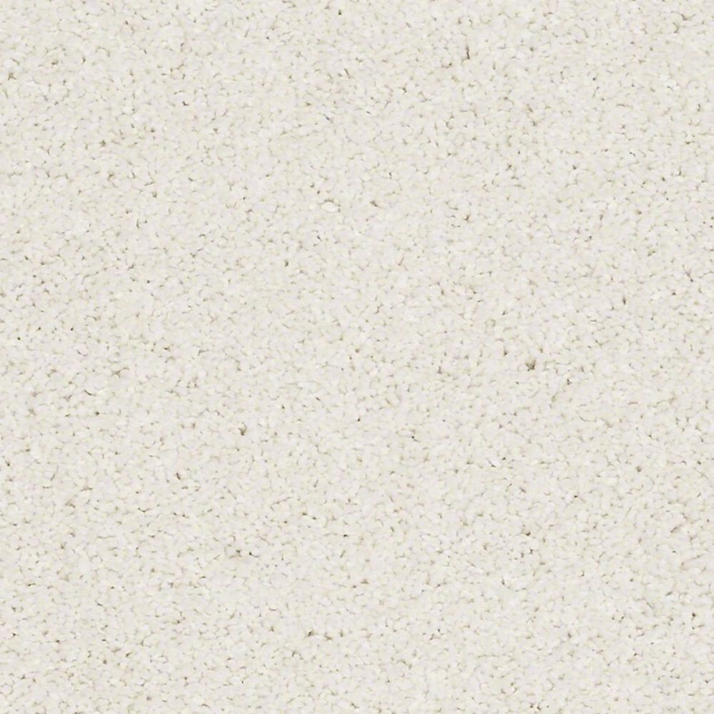 Shaw Barracan Classic II Carpet in Icelandic, , large