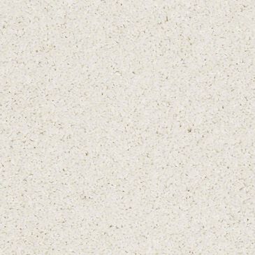 Anderson Tuftex Barracan Classic II Carpet in Icelandic, , large