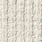 Shaw Foundations Aerial Arts Carpet in Frost, , large