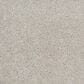Anderson Tuftex Barracan Classic II Carpet in Sterling, , large