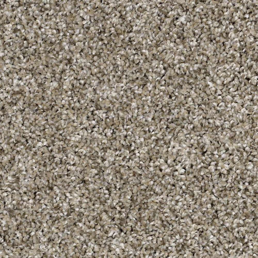 Shaw Work The Color Net Carpet in Sugar Cookie, , large