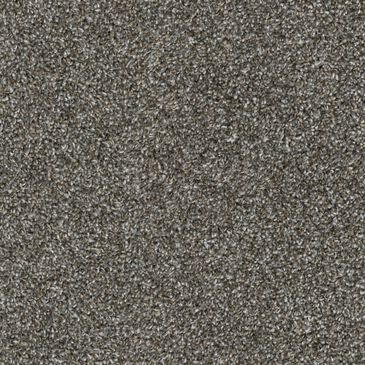 Dixie Home Outlast Carpet in Slate, , large