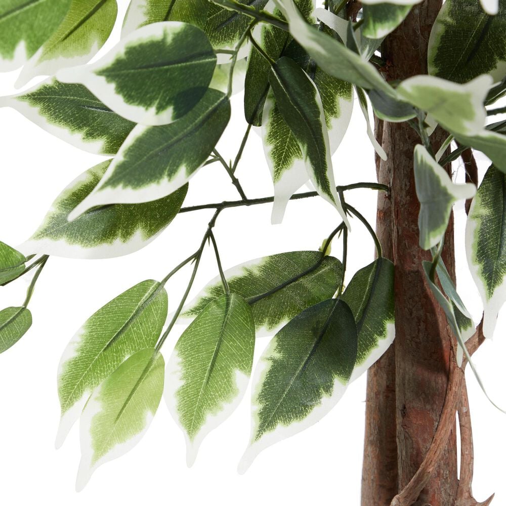 Maple and Jade Indoor/Outdoor Tall Artificial Ficus with Black Plastic Pot in Green and Brown, , large