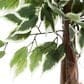 Maple and Jade Indoor/Outdoor Tall Artificial Ficus with Black Plastic Pot in Green and Brown, , large