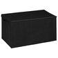 Regency Global Sourcing Niche Cubo Storage Trunk in Black, , large