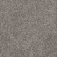 Dream Weaver Rustic Retreat II Carpet in Dried Sage, , large
