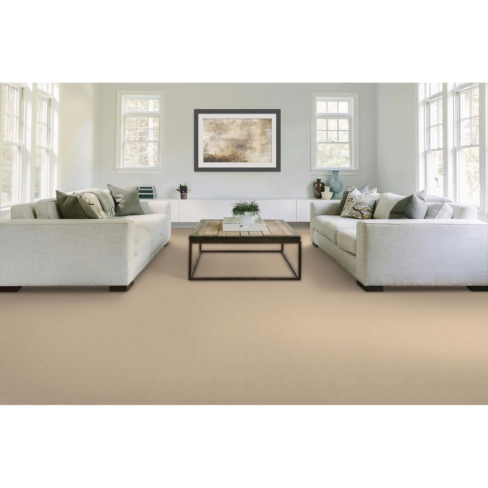 Mohawk Quality Surface Carpet in Tradition, , large