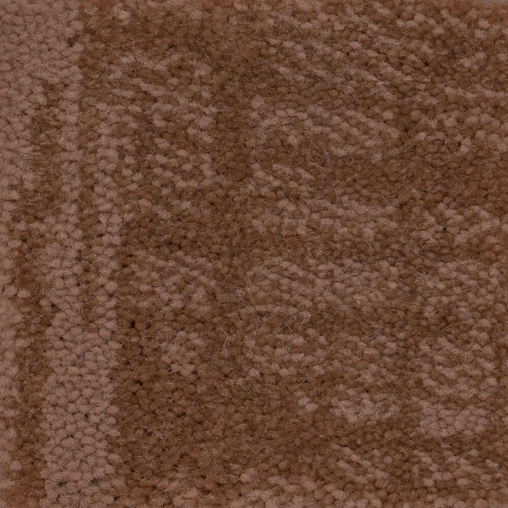 Anderson Tuftex Insightful Journey Carpet in Sunbaked, , large