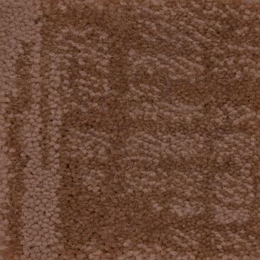 Anderson Tuftex Insightful Journey Carpet in Sunbaked, , large
