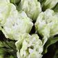 Uttermost Kimbry Tulip Centerpiece, , large