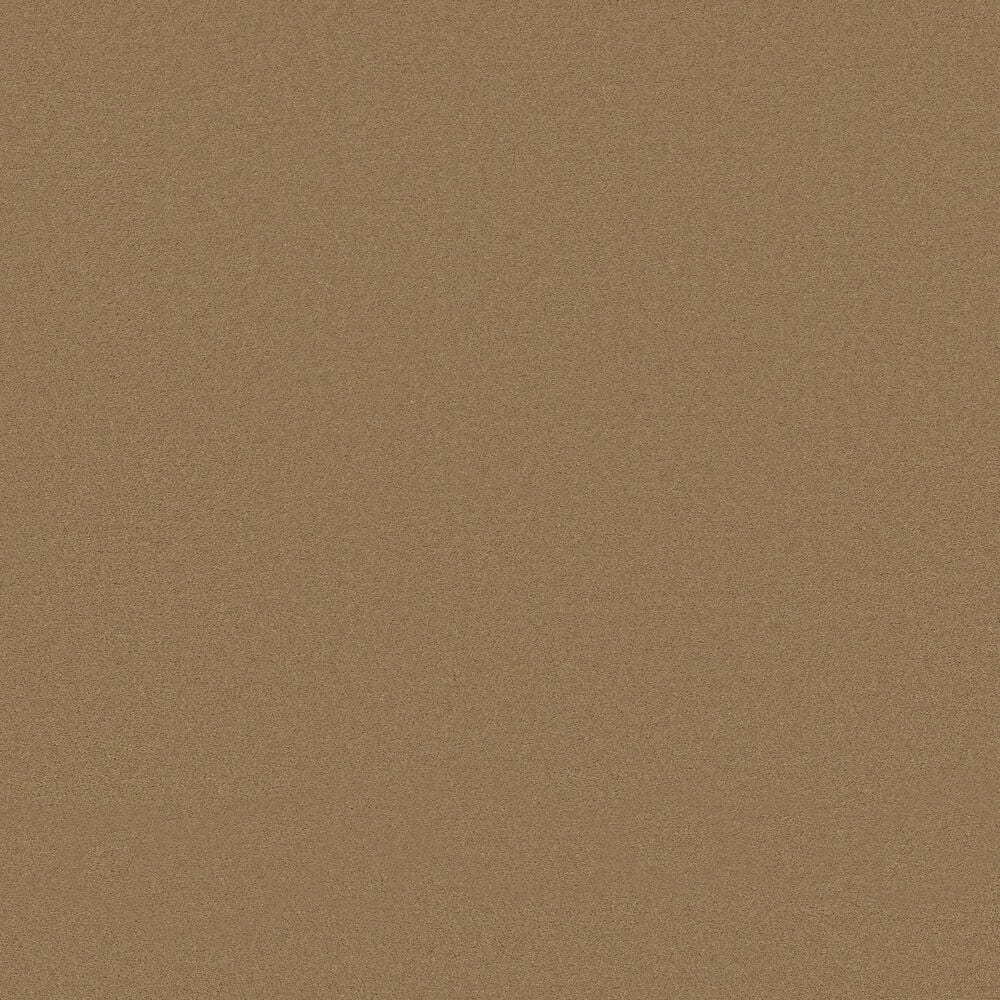 Anderson Tuftex Finery Carpet in Cider, , large