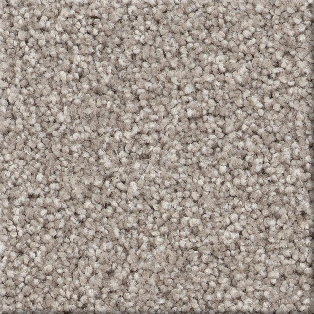 Shaw Comforting I Carpet in Anonymous, , large