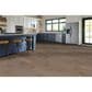 Robbins ArmorWood Cool Hue Oak Hardwood, , large
