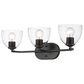 Golden Lighting Roxie 3-Light Bath Vanity in Matte Black, , large