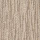 Dixie Home Wilderness Carpet in Cream, , large