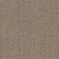 Philadelphia Mixed Essentials Carpet in Resort Beach, , large
