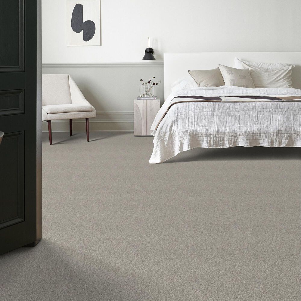 Shaw Tonal Comfort Ii Carpet in Back Patio, , large