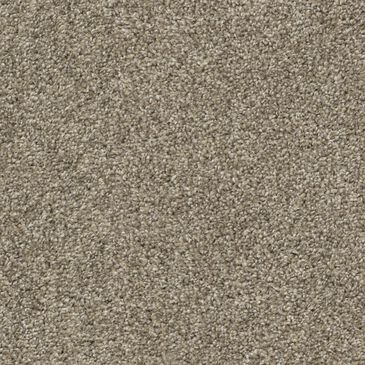 Dixie Home Riverbend Carpet in Quarry, , large