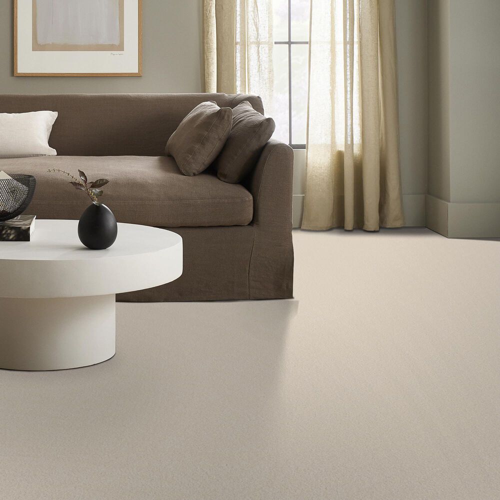 Anderson Tuftex Elegant Beauty Carpet in Cloud, , large
