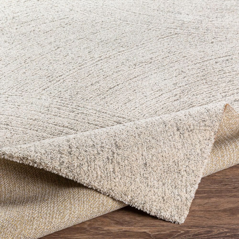 Surya Gavic 2&#39; x 3&#39; Gray and Beige Area Rug, , large